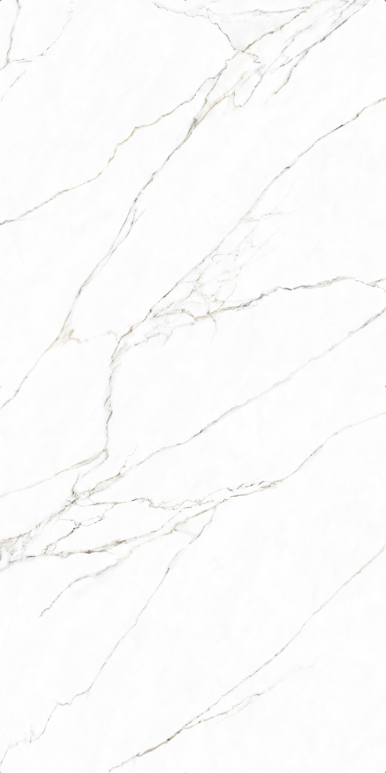 Porcelanosa_White-Calla_Face-A